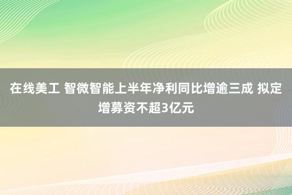 在线美工 智微智能上半年净利同比增逾三成 拟定增募资不超3亿元