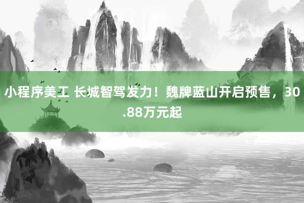 小程序美工 长城智驾发力！魏牌蓝山开启预售，30.88万元起