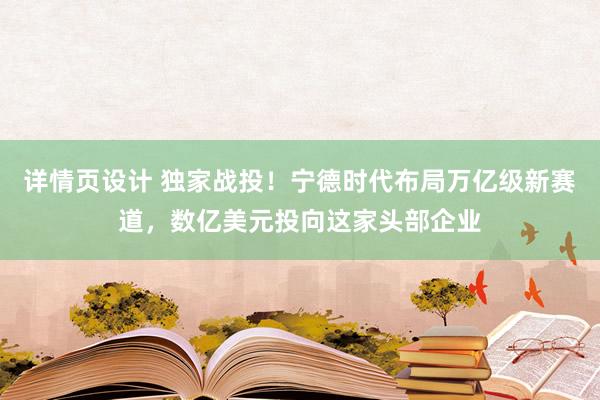 详情页设计 独家战投！宁德时代布局万亿级新赛道，数亿美元投向这家头部企业