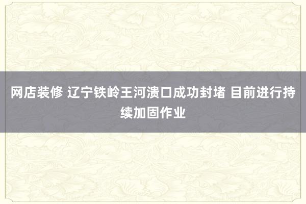 网店装修 辽宁铁岭王河溃口成功封堵 目前进行持续加固作业