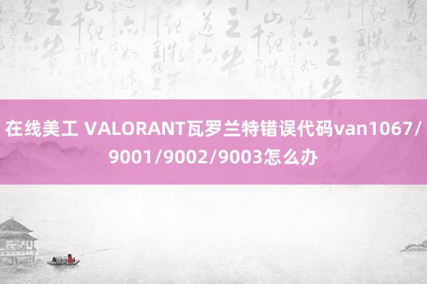 在线美工 VALORANT瓦罗兰特错误代码van1067/9001/9002/9003怎么办